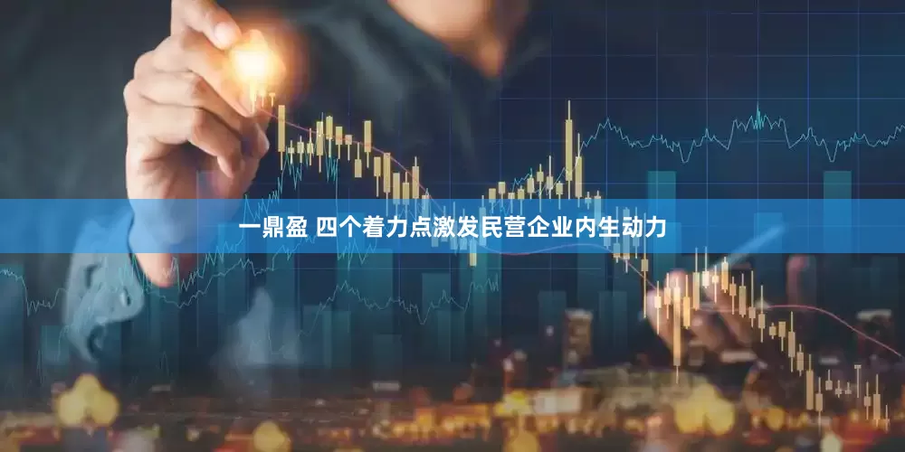 一鼎盈 四个着力点激发民营企业内生动力