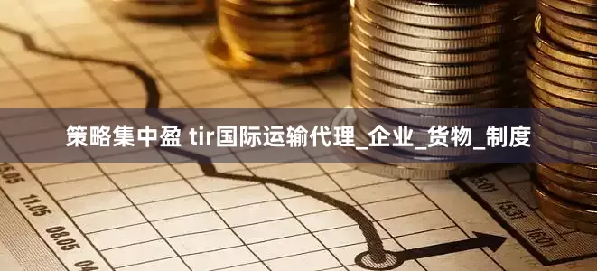 策略集中盈 tir国际运输代理_企业_货物_制度