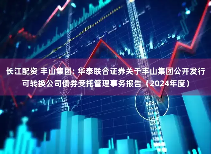 长江配资 丰山集团: 华泰联合证券关于丰山集团公开发行可转换公司债券受托管理事务报告（2024年度）